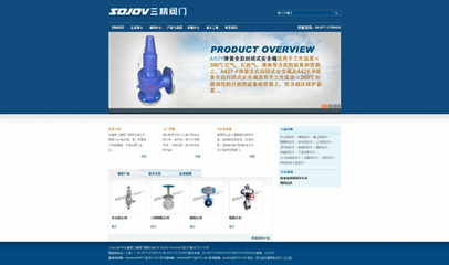 品牌形象VI设计与阀门网站网页设计 专业与创新的融合